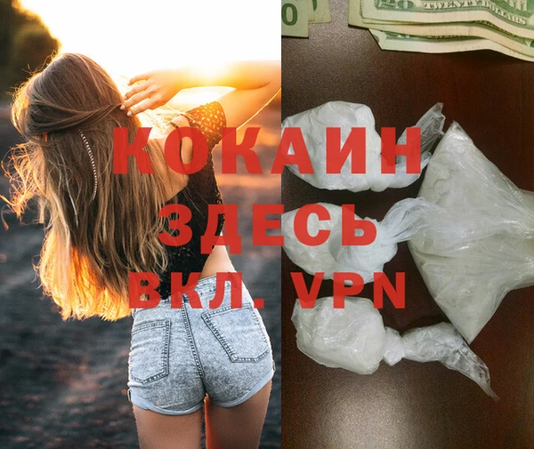 соль курить ск Алзамай
