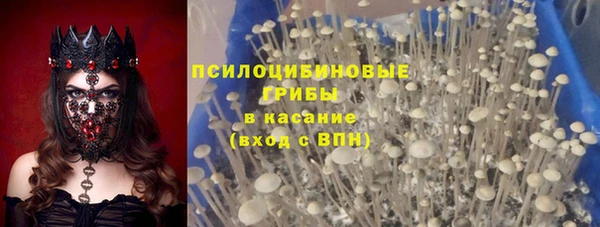 амфетамин Алексеевка