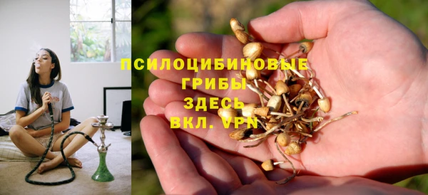 соль курить ск Алзамай